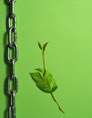 Symbolic contrast of industrial chain and vibrant green plant sprout on a plain background.