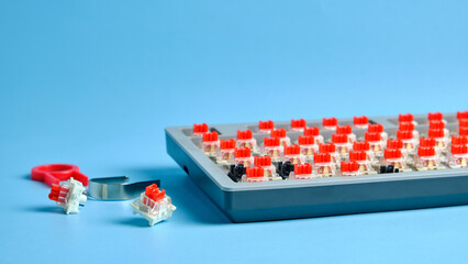 Mechanical Keyboard With Red Switches On Blue Desk – DIY Build And Tech Setup