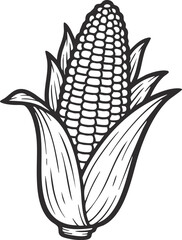 corn on the cob illustration