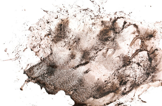 Wet mud, stains texture isolated on white, clipping path, top view, 