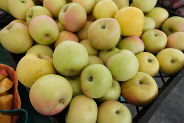 A crate brims with fresh apples in varying shades of pale green, yellow, and soft red blush.