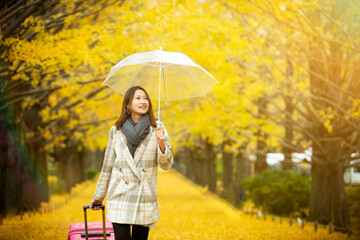 A happy young woman walking under a transparent umbrella with a pink suitcase during autumn. The yellow ginkgo leaves create a bright, warm travel atmosphere in the park.