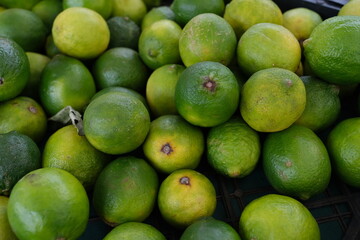 A tightly packed pile of fresh limes fills the frame, showcasing a range of green hues with some limes leaning toward yellow—indicating varied ripeness.
