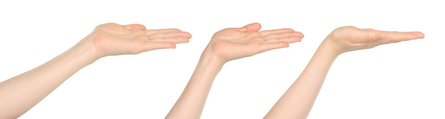 Set of hand gestures holding something, isolated on transparent background