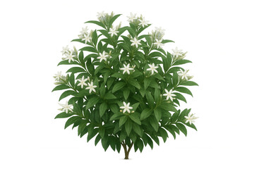 Fototapeta premium Jasmine bush with delicate white flowers and lush green foliage, perfect for natural garden designs, transparent background