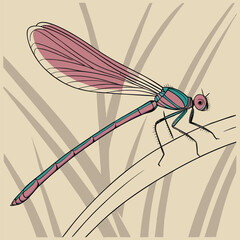 Adobe Illustrator Artwork: A vector art of an insect named a damselfly