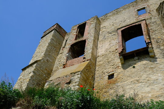 Ruins of Boskovice Castle