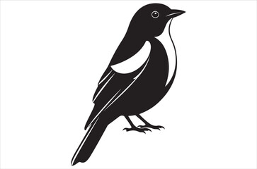 Obraz premium Myna bird silhouette bundle vector, illustration, design, icon, retro on white background.