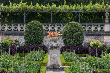 vasque fleurie dans une allée d'un jardin ornemental, allée dans un jardin à la française, jardin topiaire