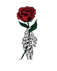 Skeleton Hand Holding a Red Rose on a Stem flower isolated on a transparent background