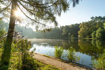Jesień nad łódzkim Arturówkiem.  © Piotr Szpakowski