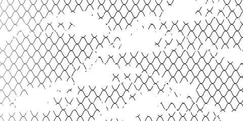 Black snake skin pattern protected on white background vector illustration