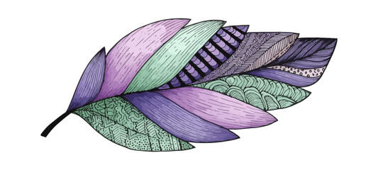 Colorful artistic feather illustration on black background