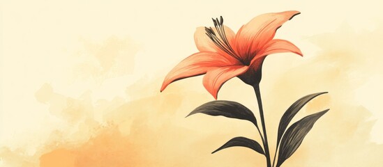 Orange Lily Flower on Watercolor Background