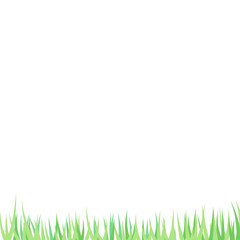 Fototapeta premium Vector Grass