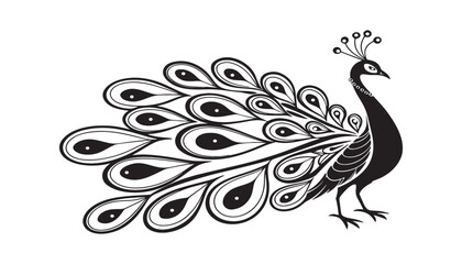 Peacock feather vector illustration with floral and ornamental design elements