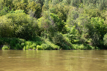 river and trees waves of mud and water lilies