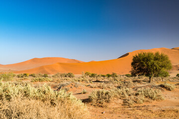 Ein Tag in der Sossusvlei