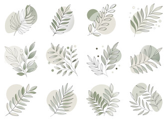 Minimal botanical leaf illustrations in earthy green tones, modern vector set isolated on transparent background