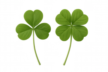 Shamrock and lucky four-leaf clover representing luck, st. Patrick's day, and irish culture on transparent background
