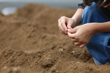 	野菜の種を植える子供たち
