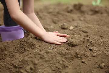 	野菜の種を植える子供たち