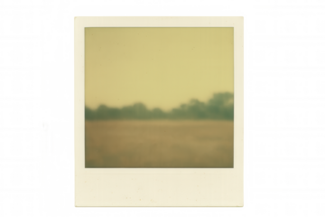 Vintage instant print showing blurred landscape field and trees, old memory concept on transparent background