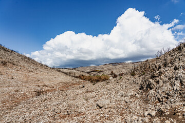 Verbrannte Gegend nach den Waldbränden um Agalas - Zakynthos