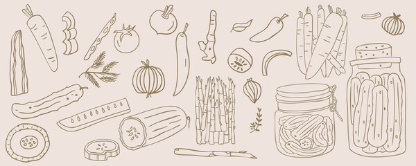 Pickle jar with cucumber,asparagus preserved vegetables doodle style.vector illustration for food design