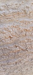 Obraz premium Close-Up of an Old Tree Bark with Deep Textures