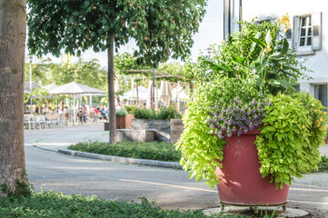 Reich bepflanzter runder roter Blumentrog an verkehrsberuhigter Zone am Stadtbalkon in Nürtingen im Streiflicht.