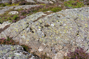 Conglomerate rock consisting rounded clasts