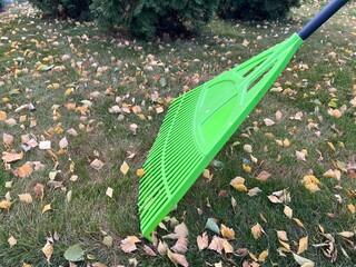 Working with a fan rake in the garden. Lawn and garden maintenance on a cloudy day in autumn