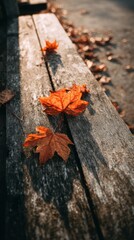 Fototapeta premium fallen autumn leaves resting on a weathered wooden bench in a quiet park with warm sunlight casting long shadows, a minimal composition highlighting natural textures and seasonal mood