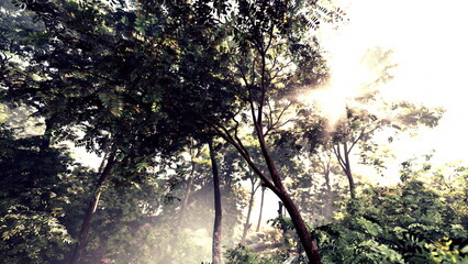 Gentle rays of sunlight filter through vibrant green leaves in a serene forest. The air is fresh, and a sense of calm envelops the lush surroundings, inviting exploration and tranquility.