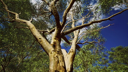 A grand tree stretches its limbs high into the clear blue sky, surrounded by vibrant green foliage. Sunlight filters through the leaves, creating a serene atmosphere in natures embrace.