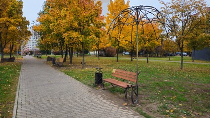 Autumn park path with yellow trees and decorative bench umbrella  