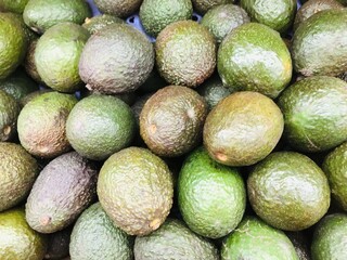 たくさんのアボカド