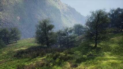 Obraz premium Sunlight gently illuminates a serene landscape filled with green trees and soft hills, creating a peaceful atmosphere. The stillness of the scene invites calm and reflection.