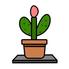 Blooming Desert Cactus in Clay Pot