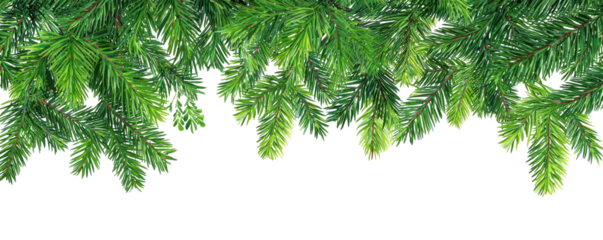 Lush, green evergreen branches cascade downwards, a festive border against a dark backdrop