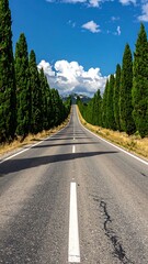 Fototapeta premium A sunlit, long, straight road is bordered by tall, green trees, leading toward distant hills