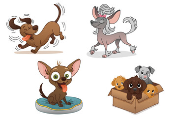 Set of funny cartoon dogs of different breeds, illustration of playful pets including dachshund, chinese crested, chihuahua and puppies in box