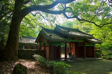 Gate Pavilions Under Spreading Branches