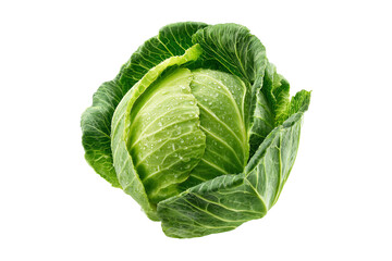 Obraz premium Fresh green cabbage isolated on transparent background