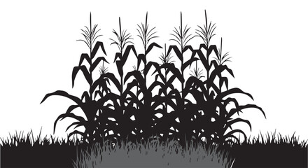 Fototapeta premium Silhouette of a cornfield with grass in the foreground isolated on transparent background