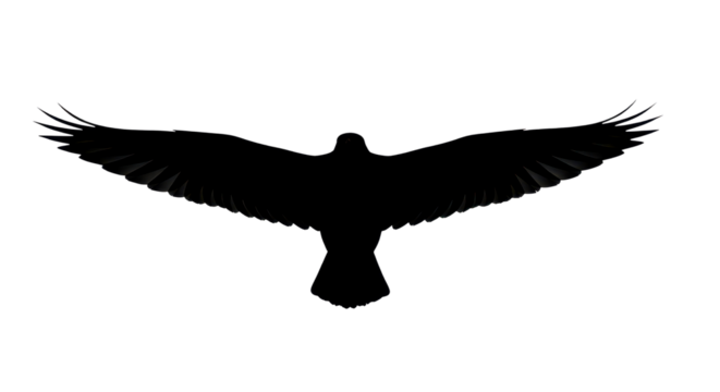 Silhouette of a bird in flight isolated PNG with Transparent Background - Powered by Adobe