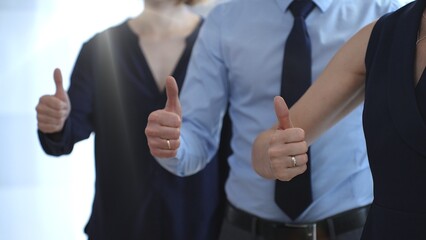 Business people team showing thumbs up gestures in a row, expressing approval, agreement, success, and full support for a project or strategy in a corporate office setting with sun flair