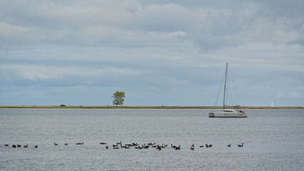 Schleiregion © helmut Schmidt