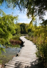 Fototapeta premium Grand Blottereau : Évasion Nature à Nantes